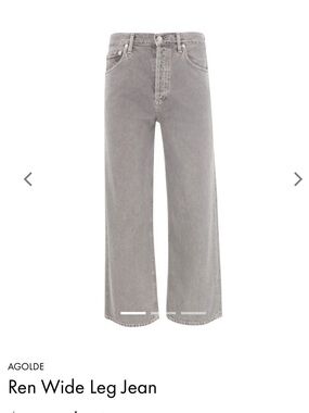 Agolde Ren Wide Leg Owl size 27